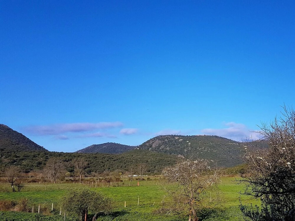 House With 4 Bedrooms in Navas de Estena, With Wonderful Mountain View