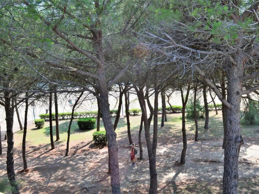 Appartement Argelès-sur-Mer, 2 pièces, 4 personnes - FR-1-225-667