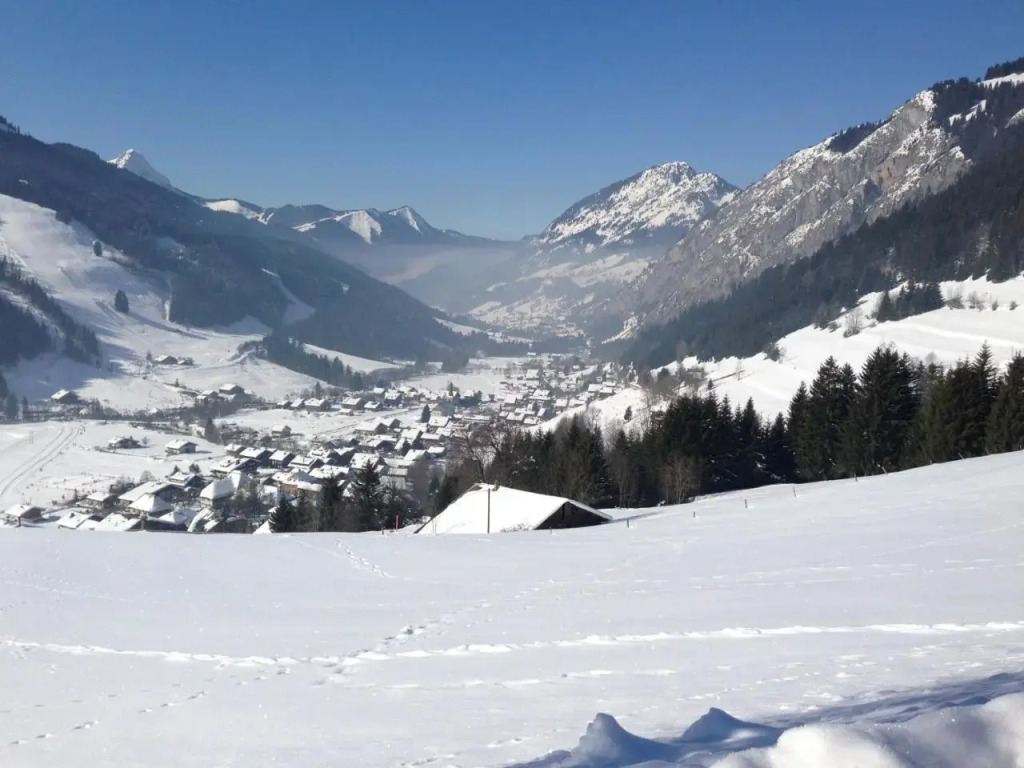 Ski La Cote