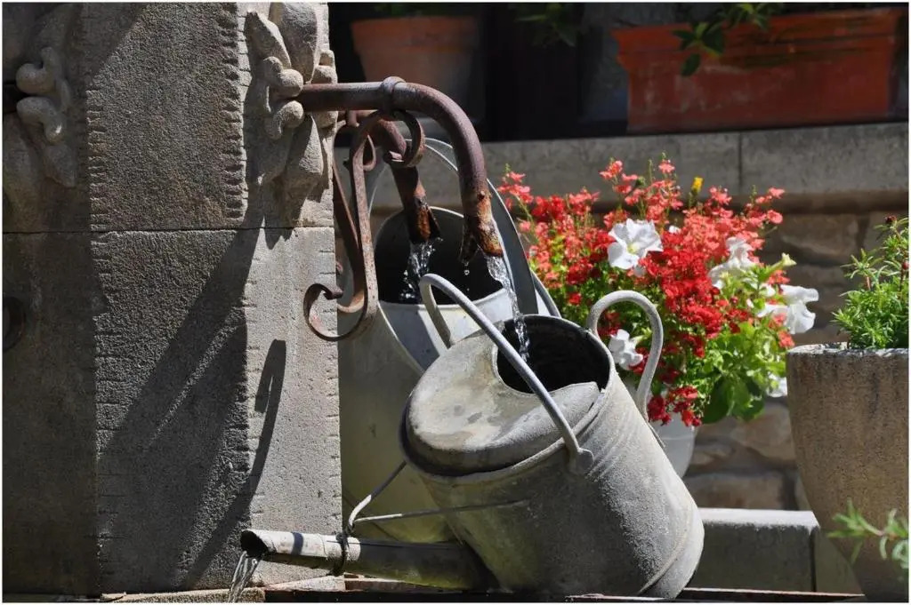 La Figuiere Fontaine de Vaucluse
