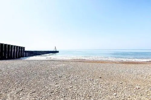 The Buckle Seaford