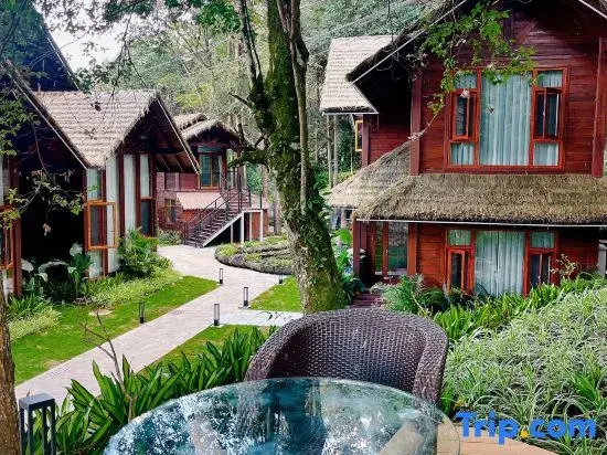 Terraces&Forest Wooden Hotel