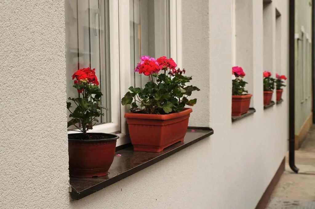 Apartman Sara