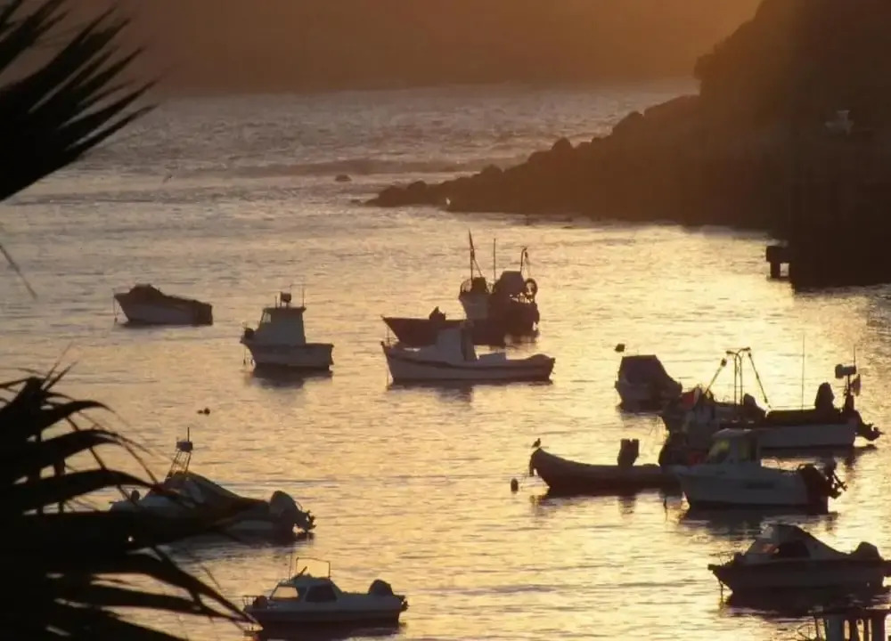 Apartment Sao Martinho Near Beach