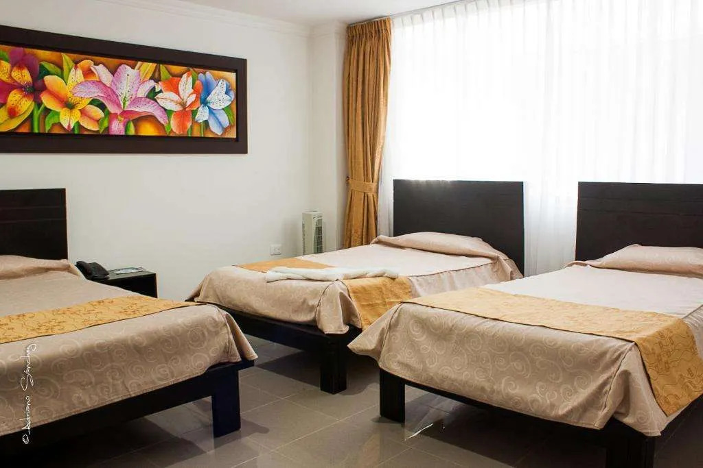 Hotel Andinos Plaza Pitalito
