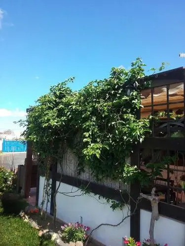 Casa Rural SoleaRio
