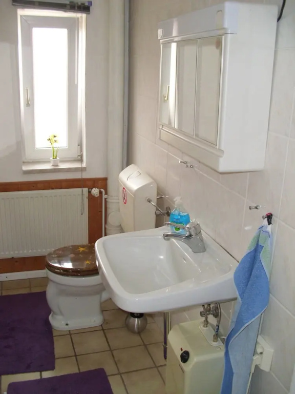 Charming Langelsheim Apartment in Historic Fachwerkhaus