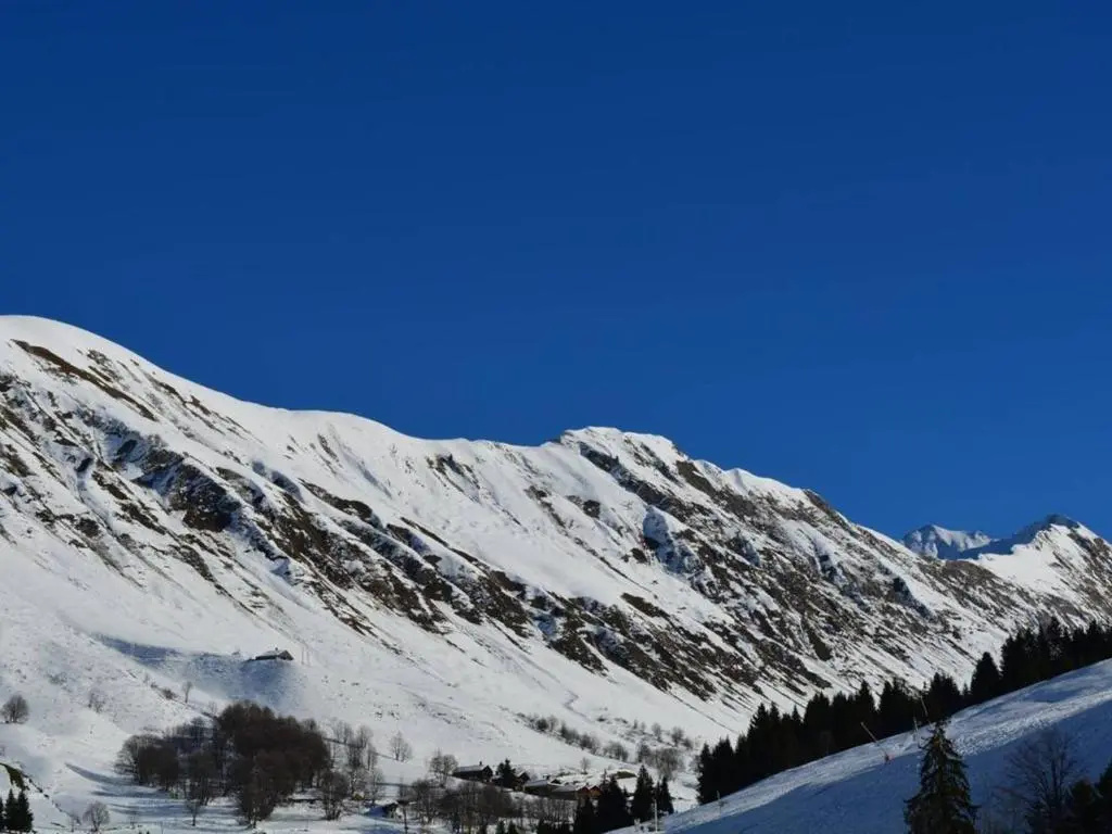 Appartement Le Grand-Bornand, 1 pièce, 6 personnes - FR-1-241-5