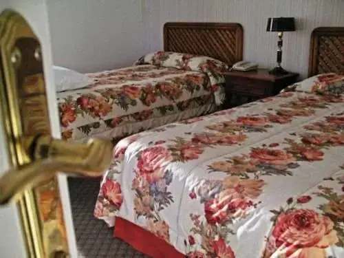 Hostal Terrasur