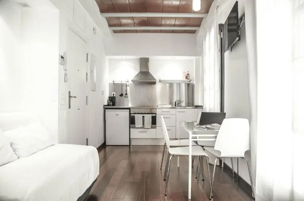 Barcelona Beach Apartments