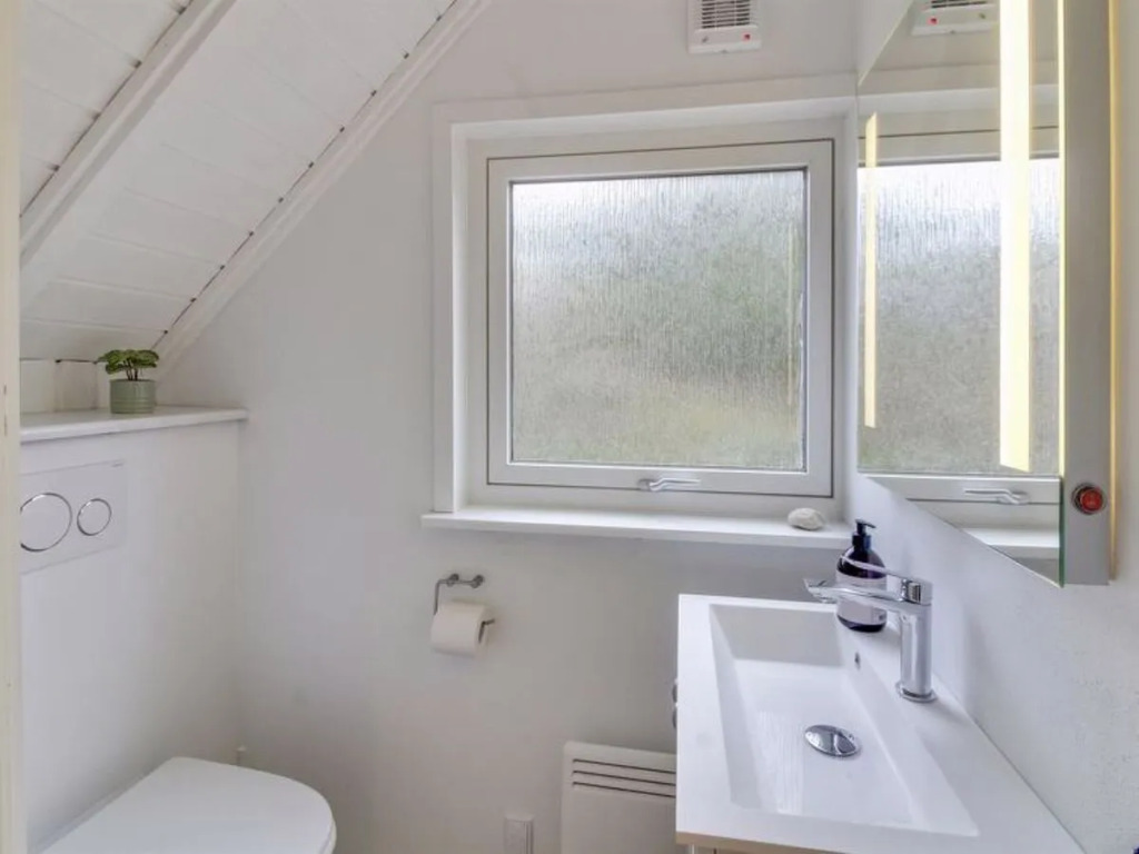 "Dilruba" - 3.2km from the sea in Western Jutland