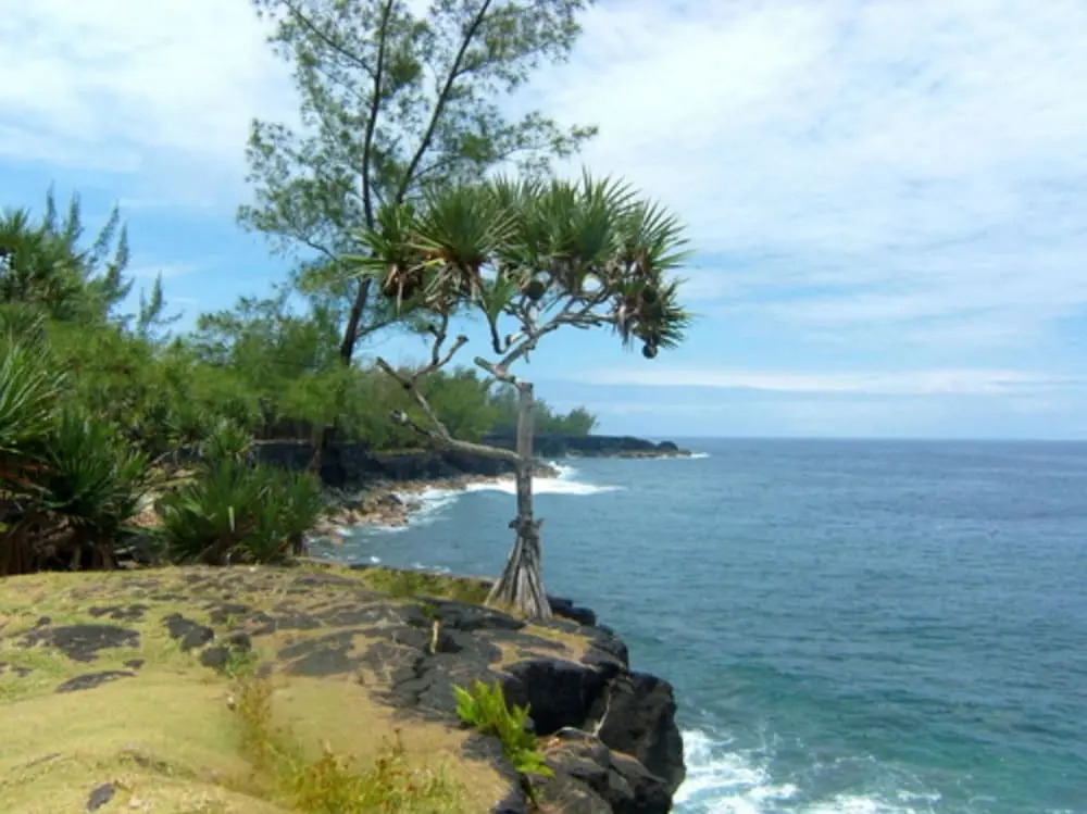 House with 9 Bedrooms in la Plaine Des Cafres, with Wonderful Mountain View And Enclosed Garden - 23 Km From the Beach