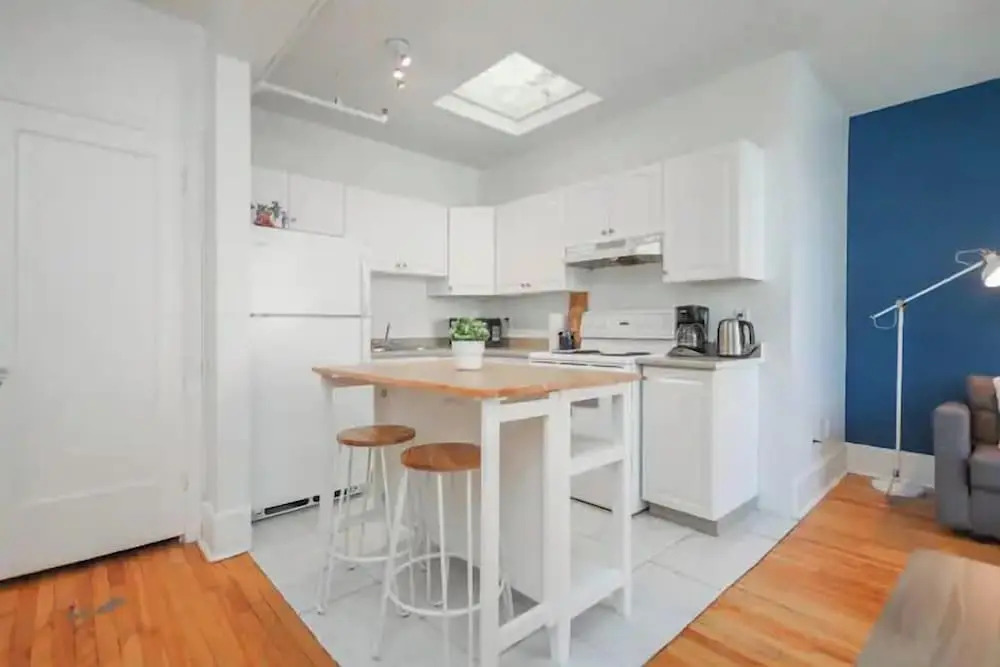 Downtown 1BR Suite