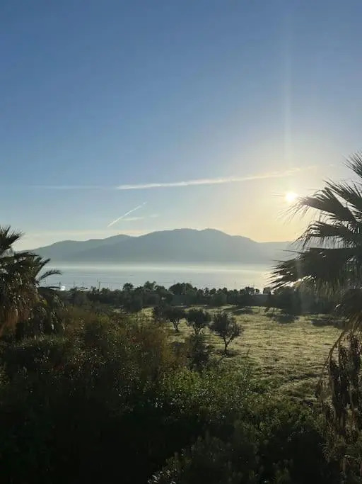 I colori di Titi'