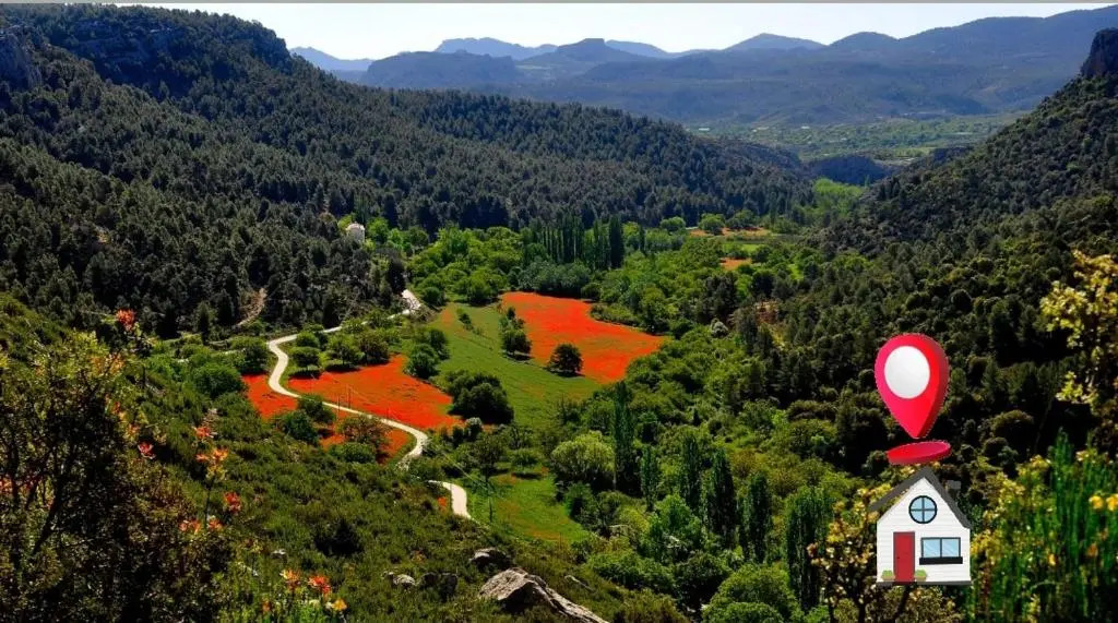 Cortijo Ramon Petra