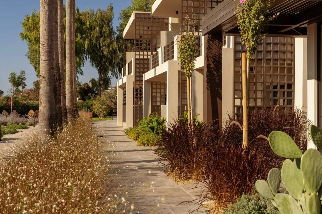 The Ritual, A Wellness Retreat