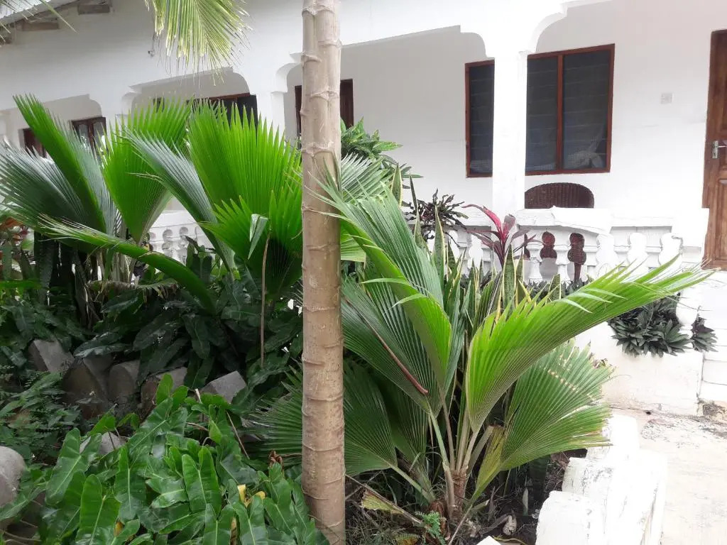 Ebony & Ivory Beach Bungalows