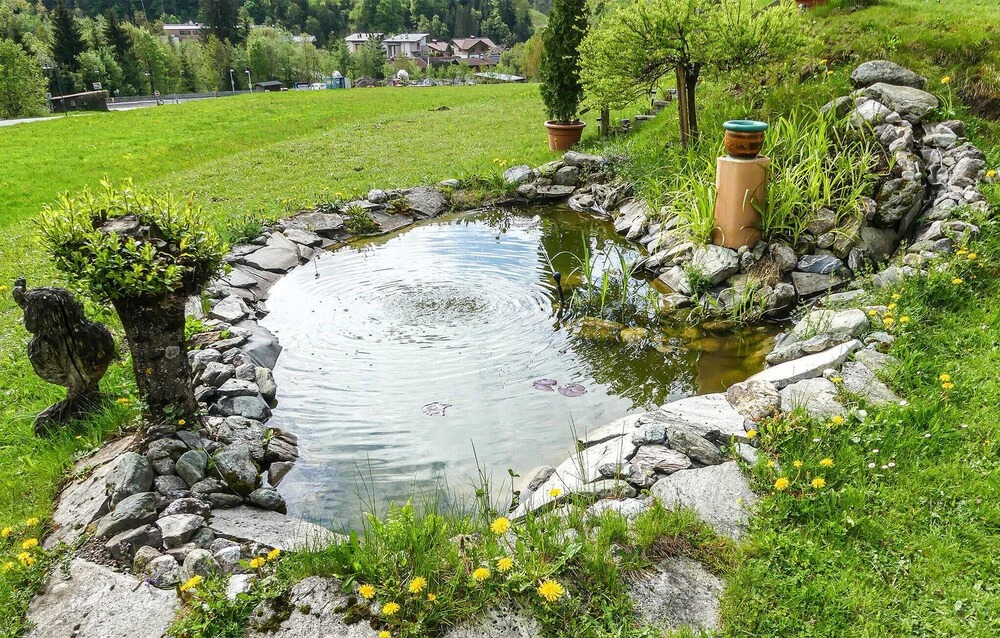 Beautiful Apartment in Wagrain With 1 Bedrooms and Internet