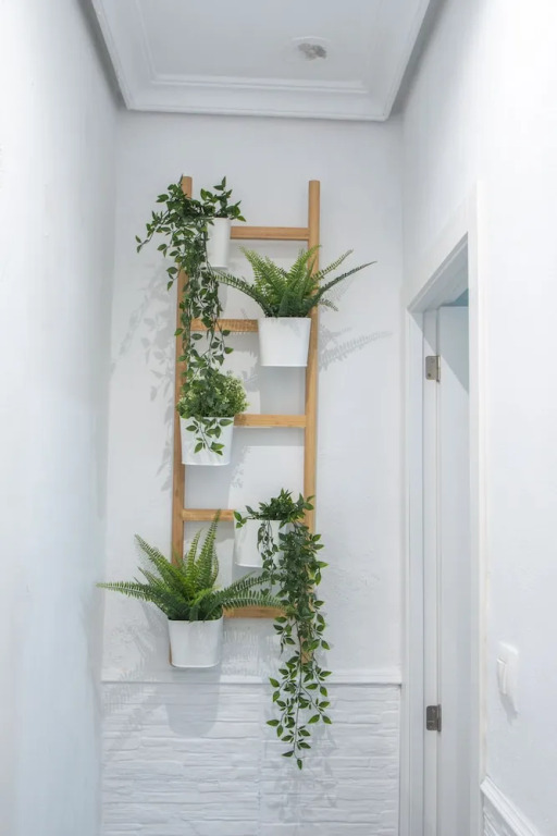 Apartamento Hercules