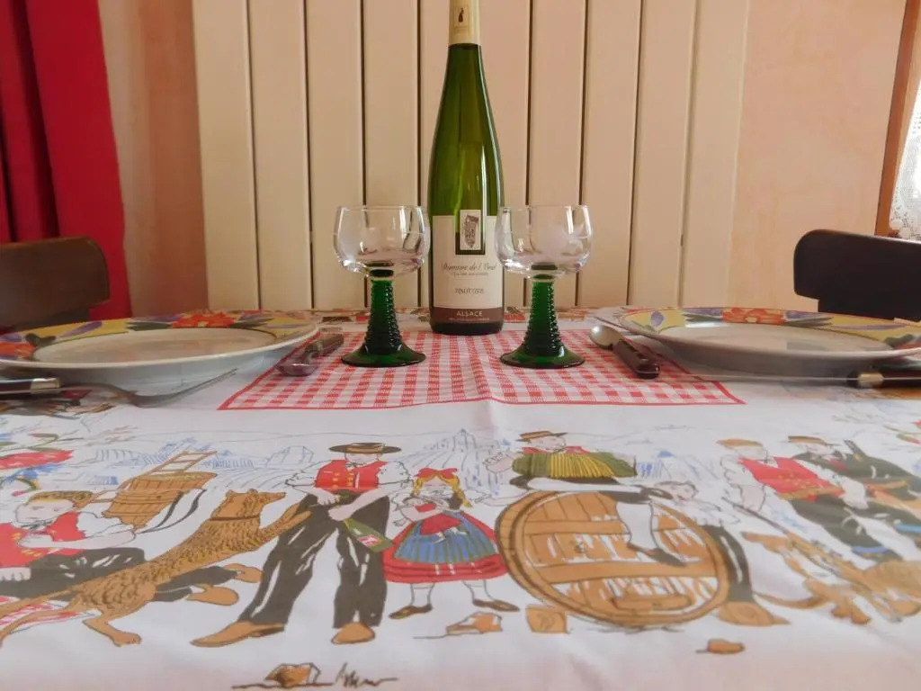 GEWURZTRAMINER - Joli studio au pied du vignoble