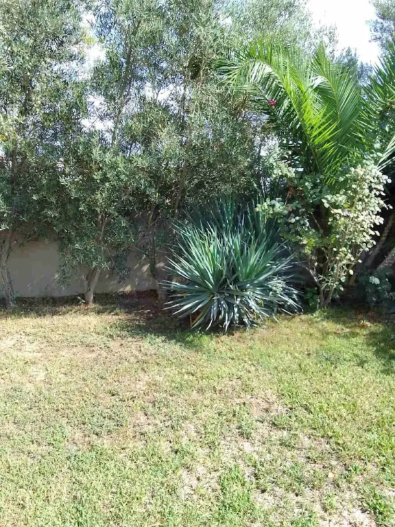 Palm Garden Apartment