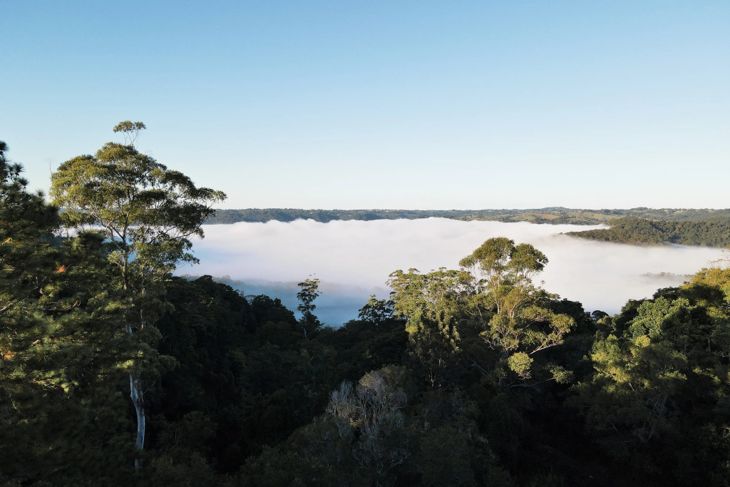 Montville Misty View Cottages
