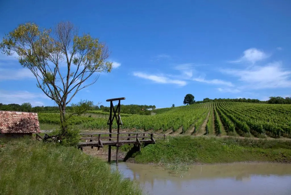 Stupnički Dvori Winery Hotel