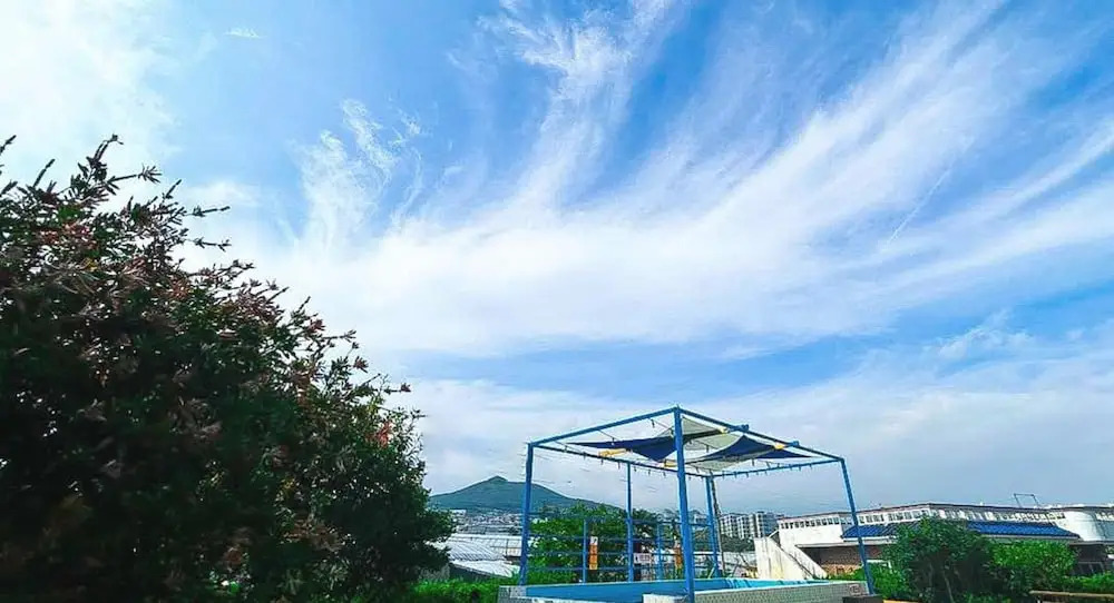 Today Seogwipo