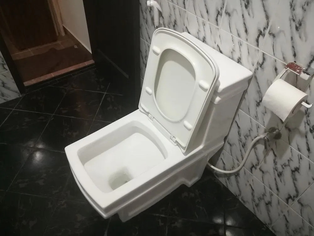 City Royal White Tourist Rest