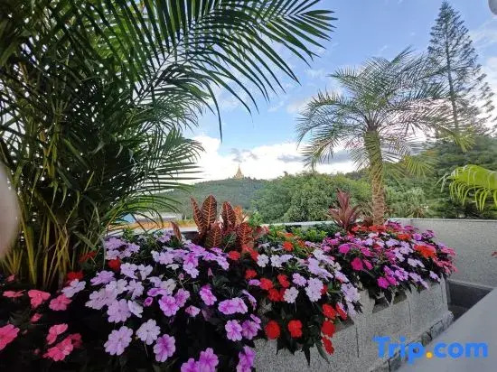 Mangshi Yijin Homestay