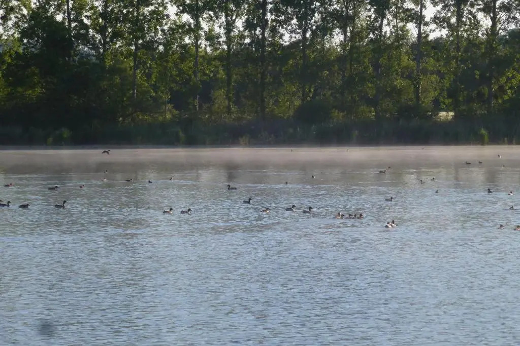 Gite Des Etangs