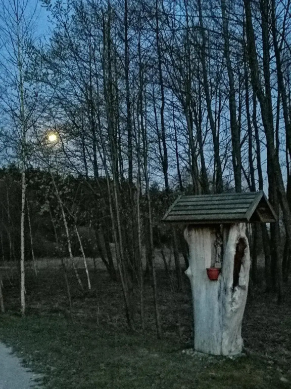 Leśny Dwór Uhowo