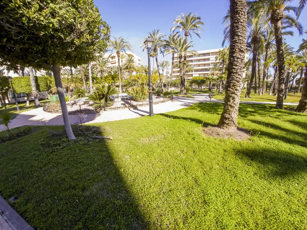 Torrevieja Experience El Palmeral