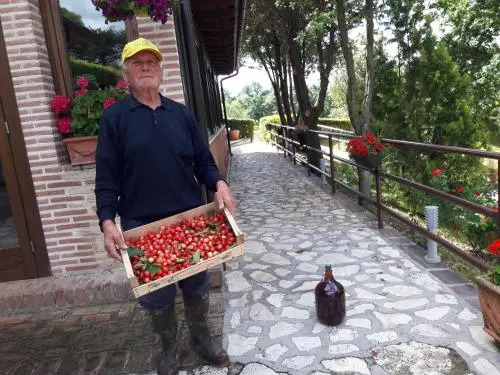 La Ginestra