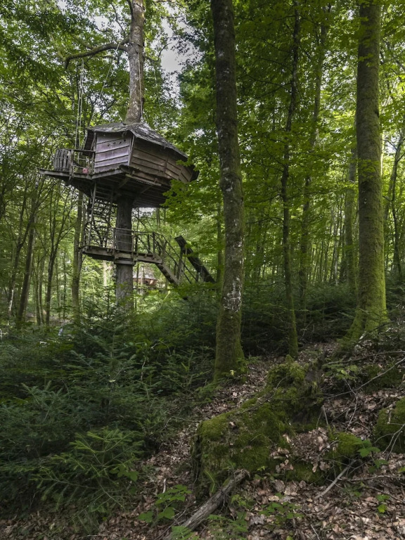 LArbre à Cabane