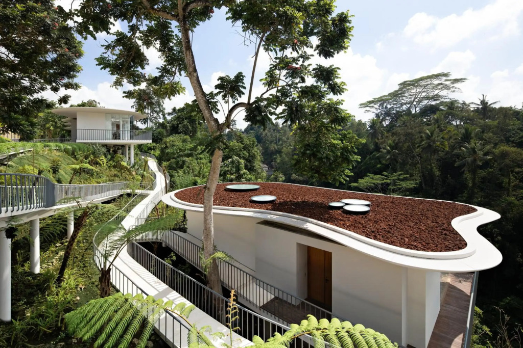 Bumi Kinar Skylight