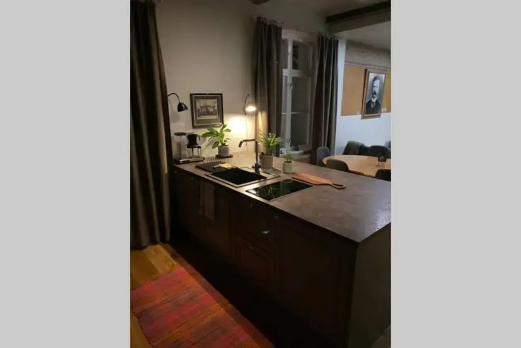 Luxury Apartment in the center