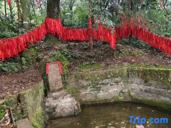 jianjusu（qingchenshaxinshanmendian）