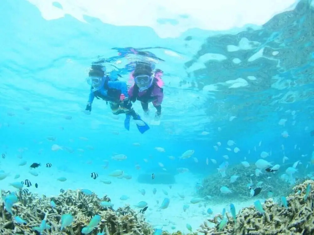 Pine Shima Resort Coral Fish