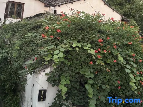 Xitang Chunye · Warm Dream Light Luxury Homestay