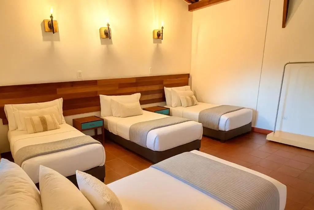 Dreamer Cocora