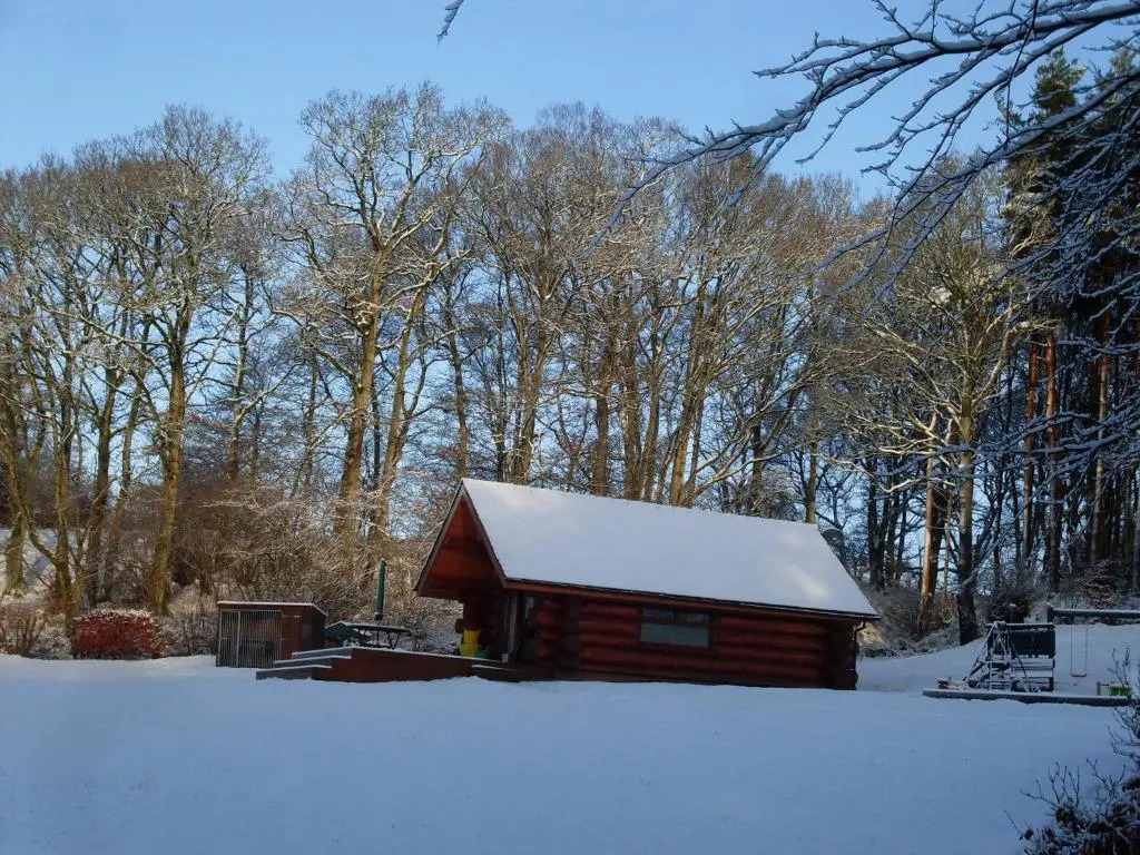 lyne view, log cabin