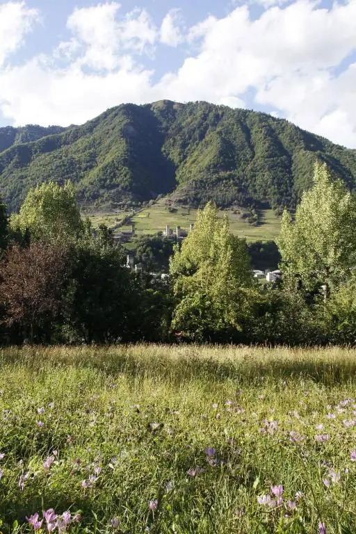 kahri