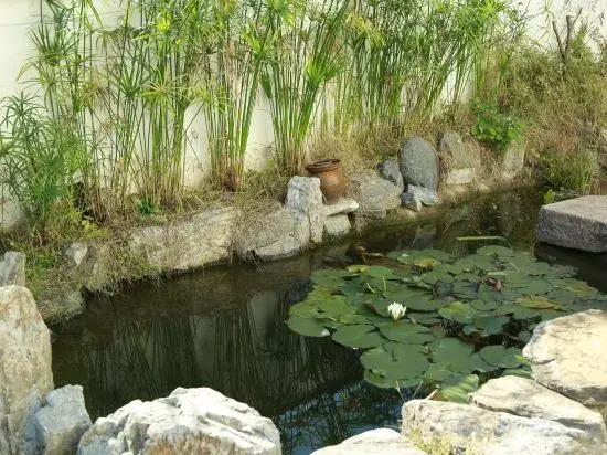 Xinyu Homestay