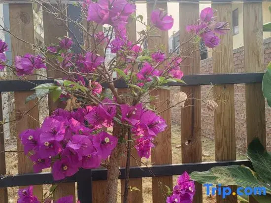 Guanlan Shiguang Homestay