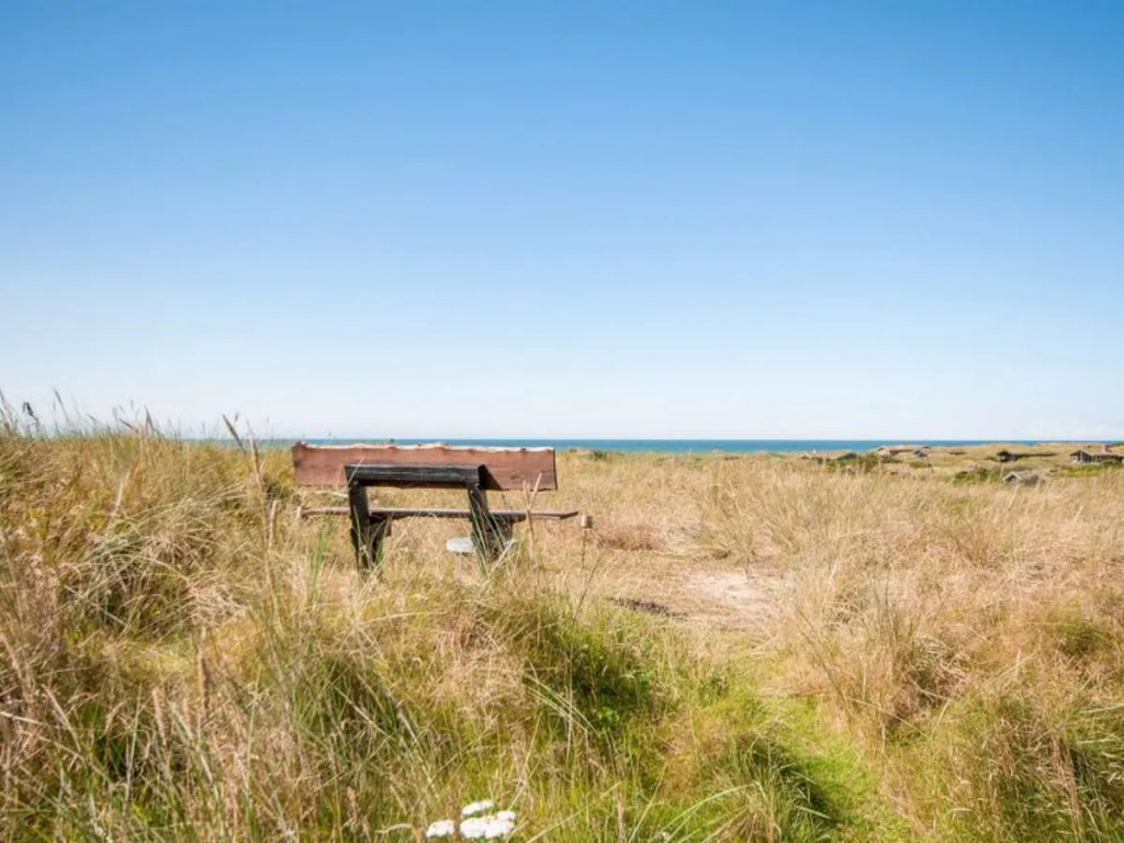 "Vlatko" - 400m from the sea in NW Jutland