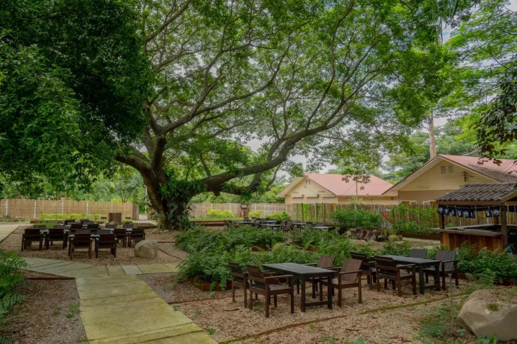 Sirin Farm Chiang Rai