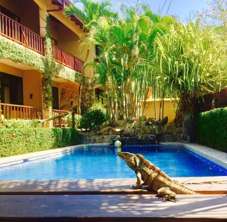 The Backyard Hotel