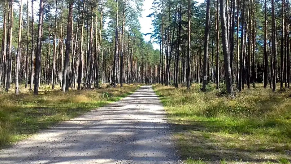 EKOLANDIA Domek na wynajem