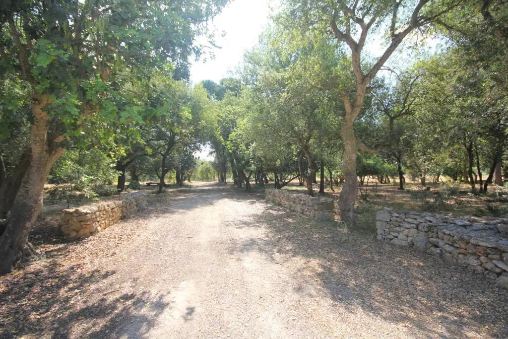 Tenuta Ferraro Gallipoli